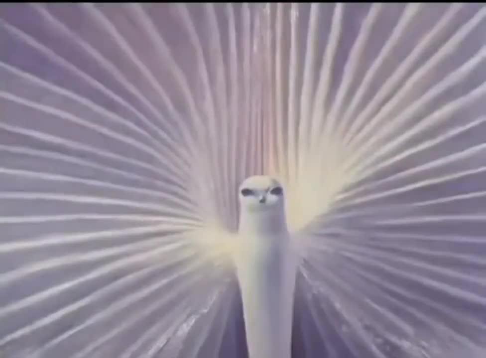 7a1369hejto5jd139171