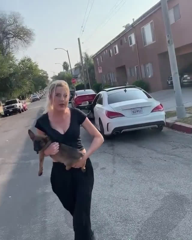 Woman throws dog at man