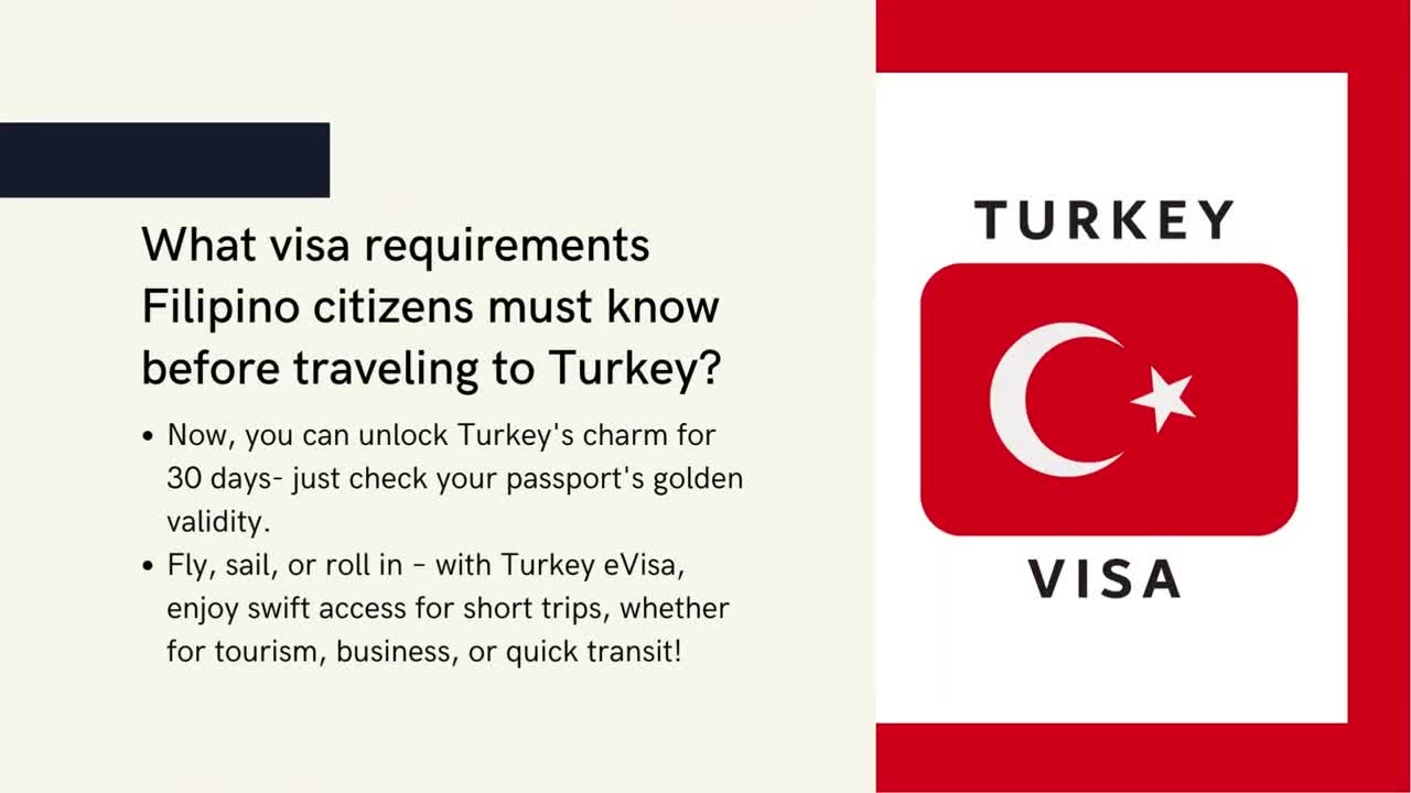 Watch Learn the Turkey Visa Requirements Turkey eVisa for Filipino