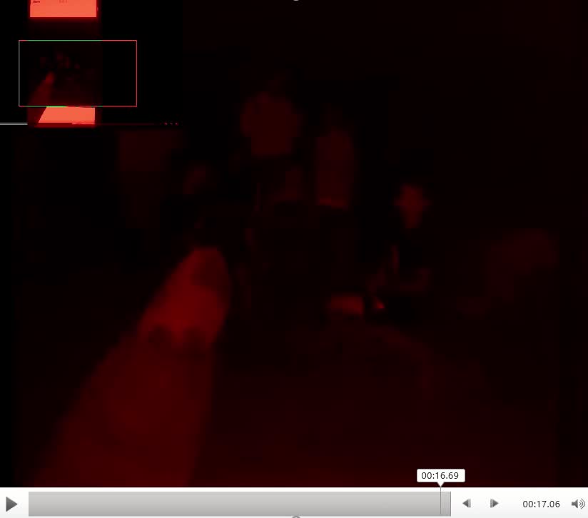 entering frame_color adjust_zoomed_slowed