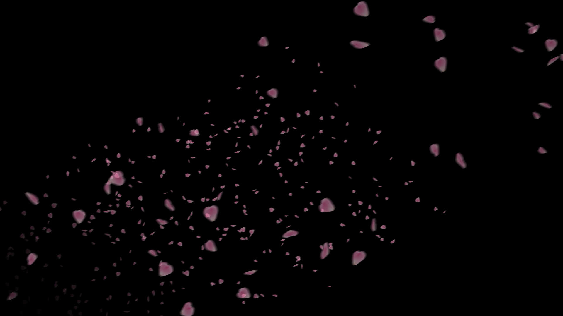 斜めに舞い上がる桜 多重大 の花びら動画素材 Embed