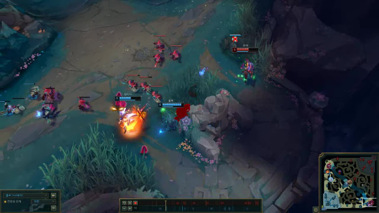 2대1로 딜교하는 룰루