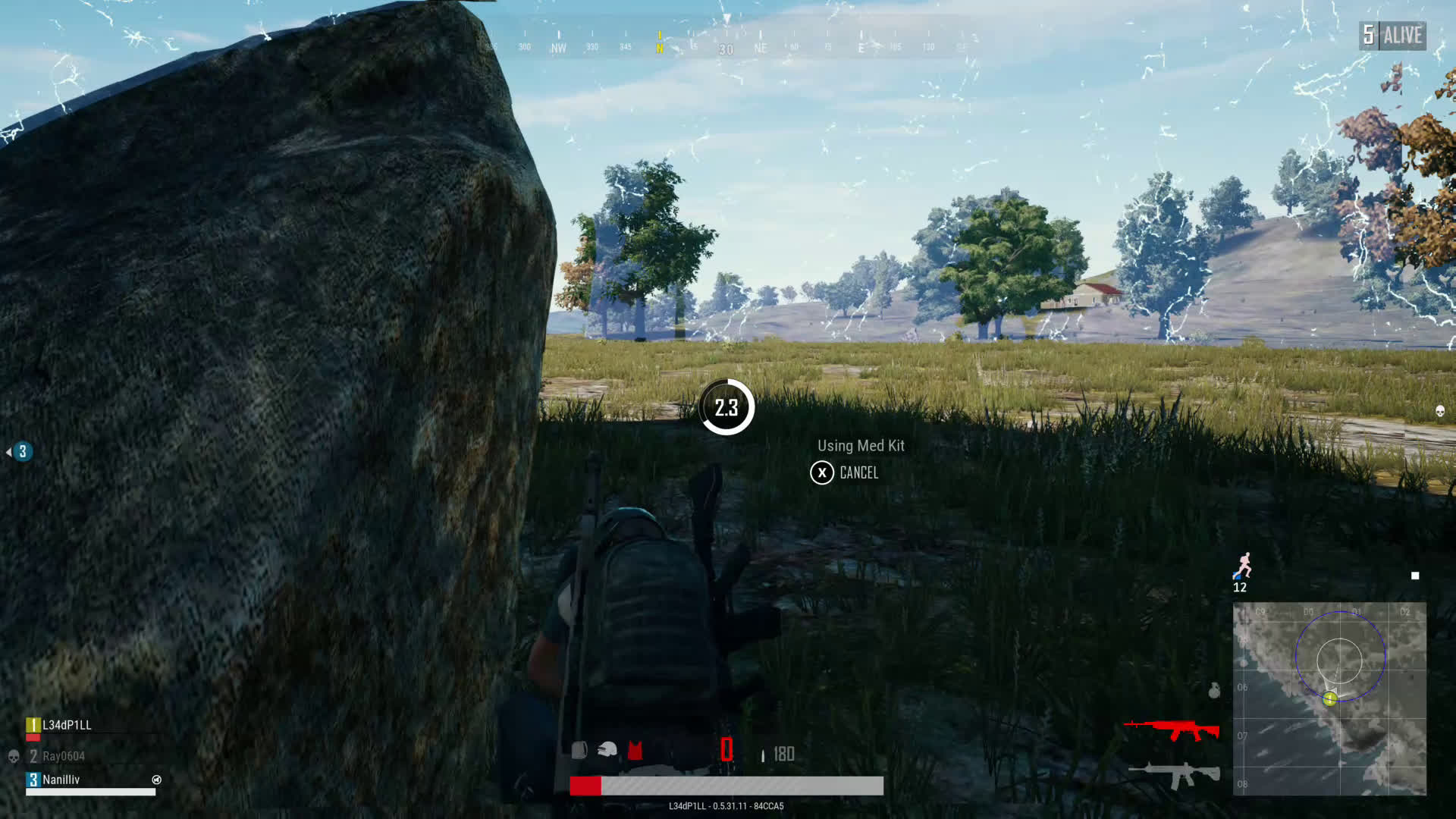potato chicken