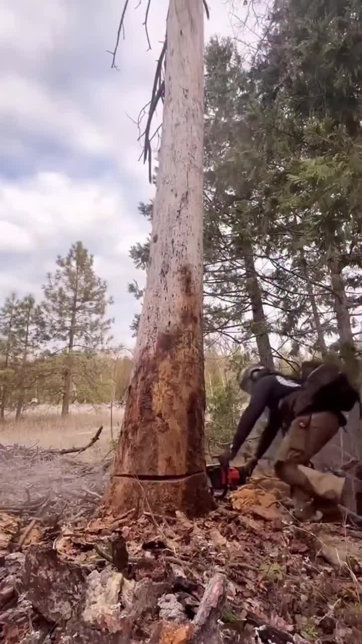 d25bbc545a042653-vp9-hd