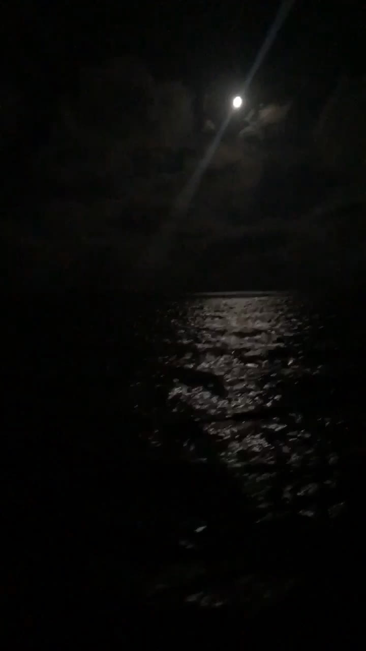 ocean night