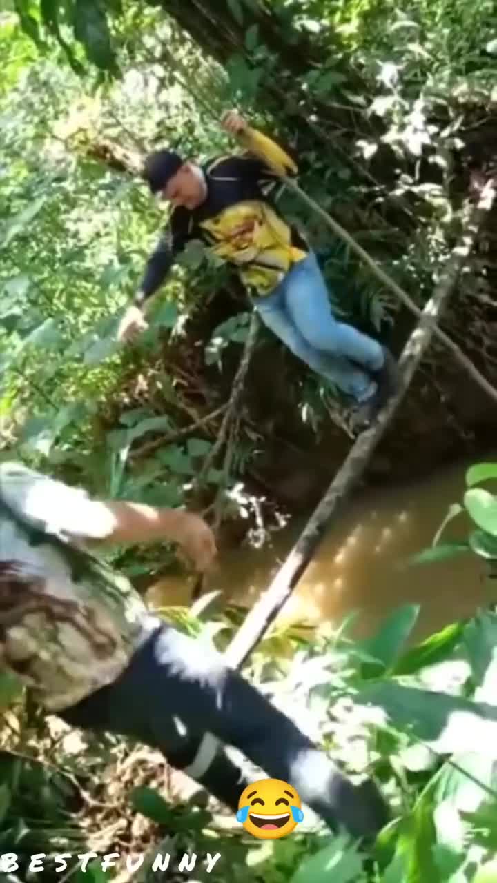 86ee1278ca1400f24fc17f164c1d6543