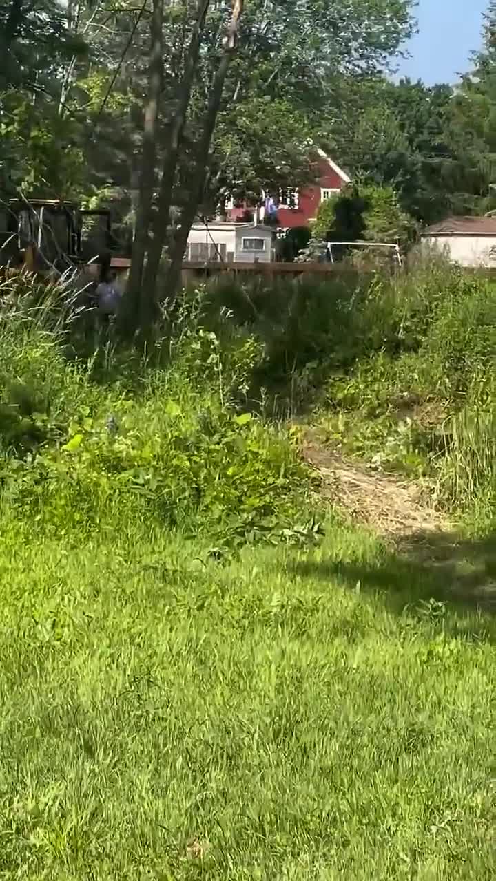 Watch "you re having a bad day think twice" on Streamable.