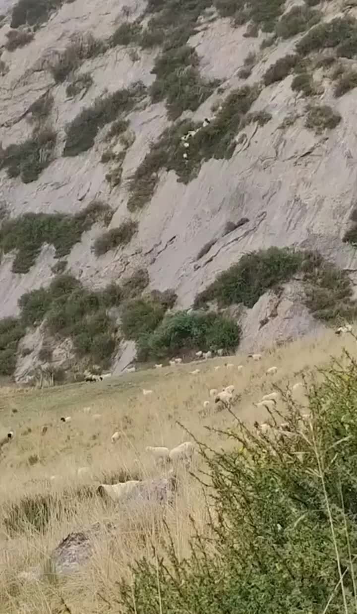 Watch "unnamed" on Streamable.