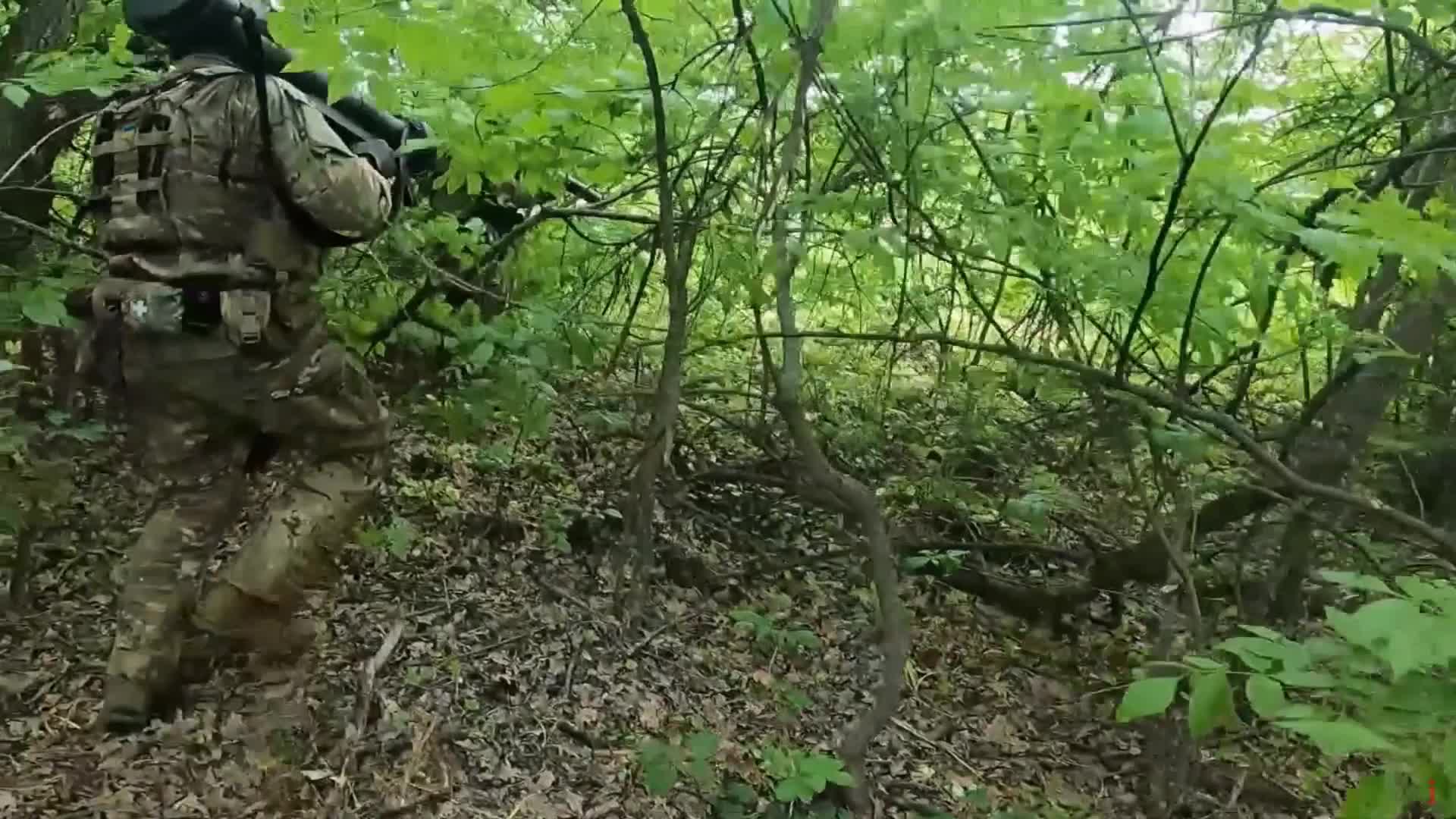 Ambush
