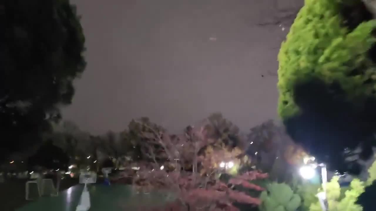 ssstwitter.com_1733239398331