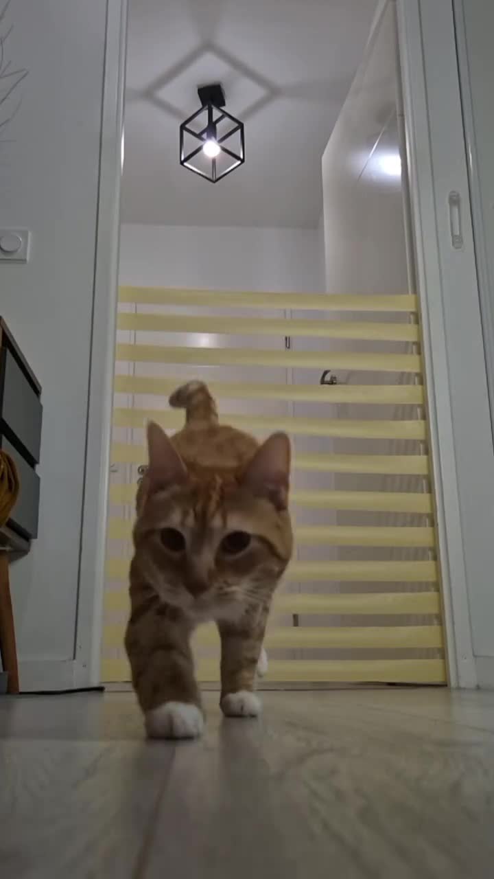 AQO3OWm--izbh2GfGWI4PMp04cToMQkfTY7rOC9HcuPRFRHZV4YIktnOZ_1GLzOhJ00VJqPo28Ayy9SOw7hhuIB2