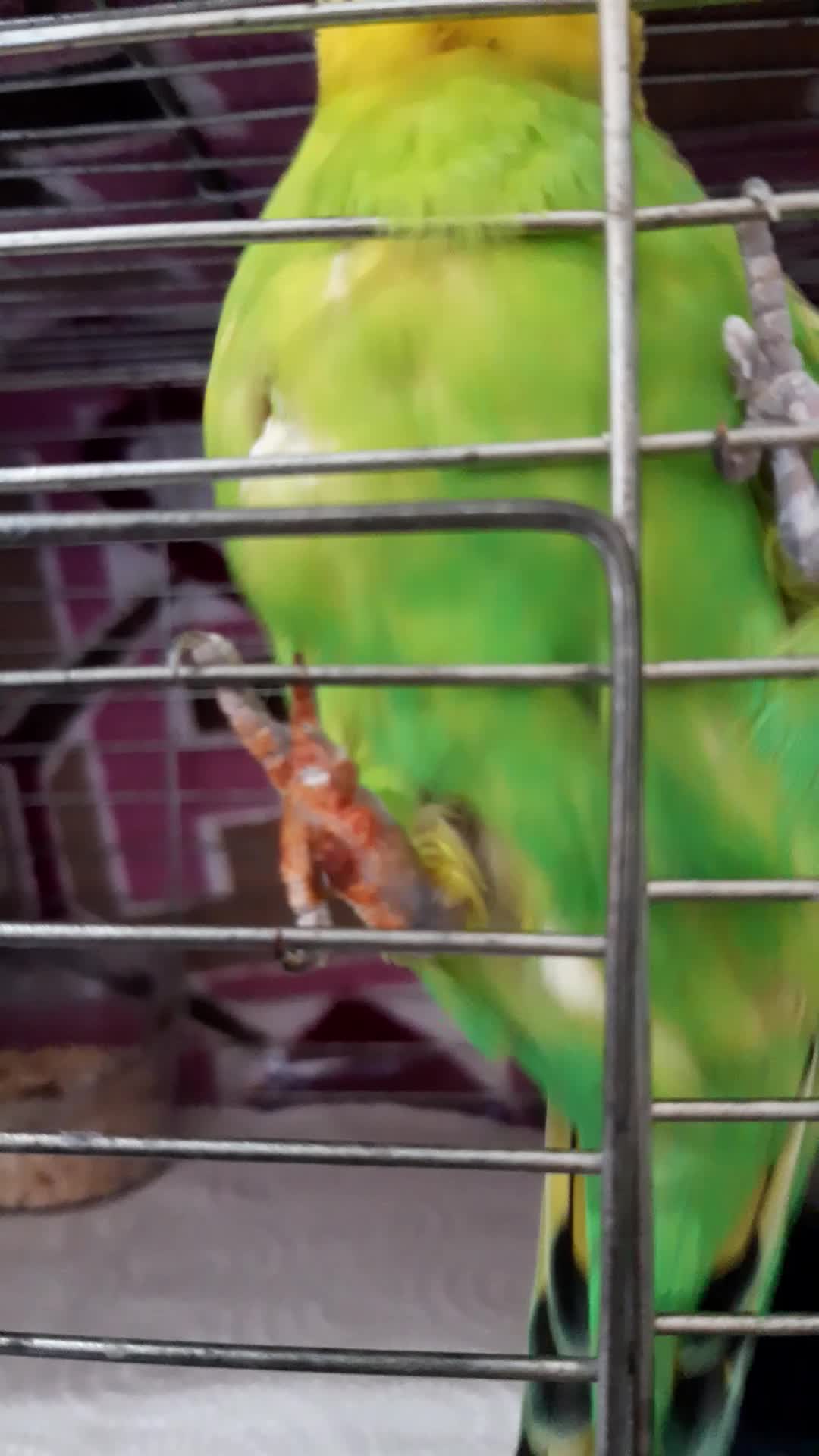 streamable.com