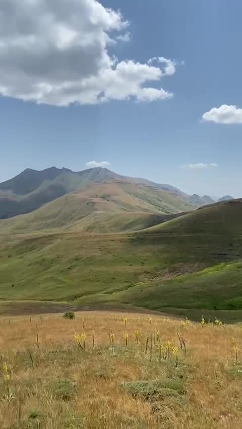 streamable.com