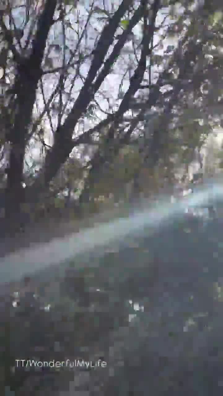 rapidsave.com_footage_of_the_shooting_down_of_the_shahed_uav_by-p48jqd5ktpqf1