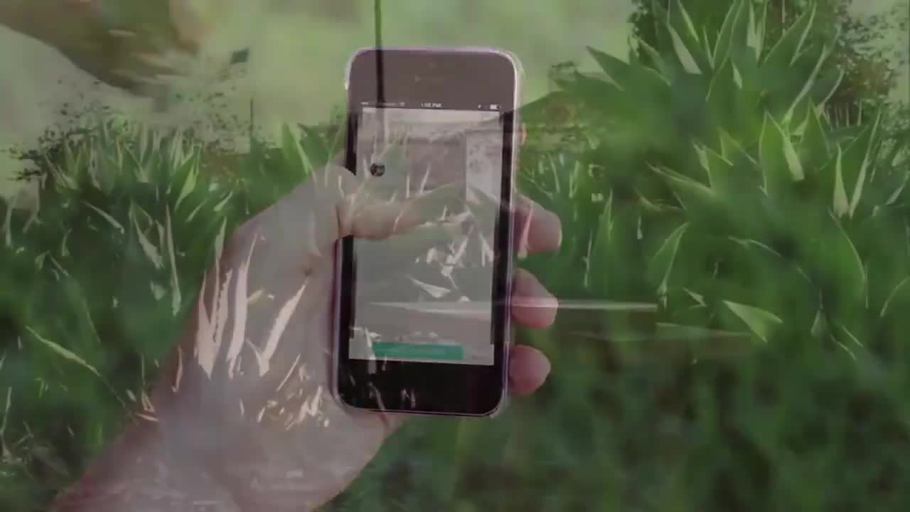 Watch 1.snapwire-🟢a-creative-platform-where-photographers-can-earn ...