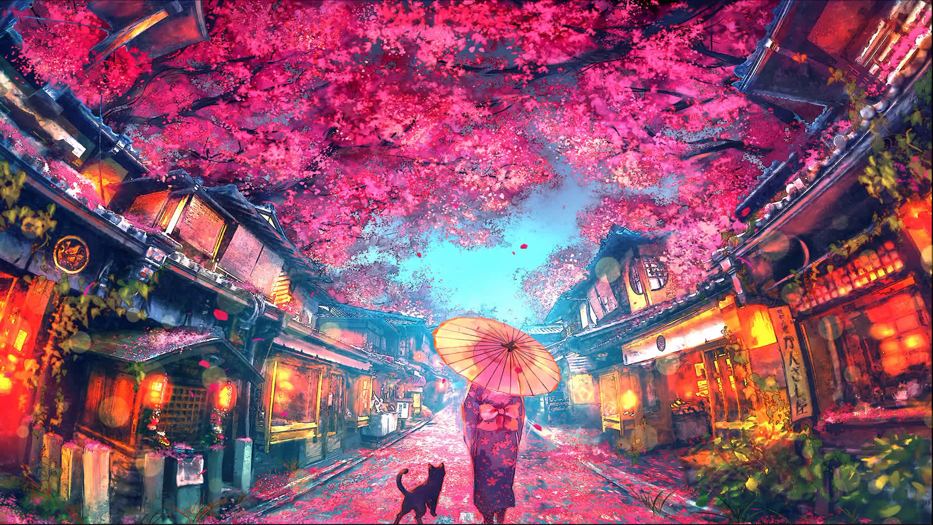 Sakura Festival Women and Ca Live Wallpaper - Embed