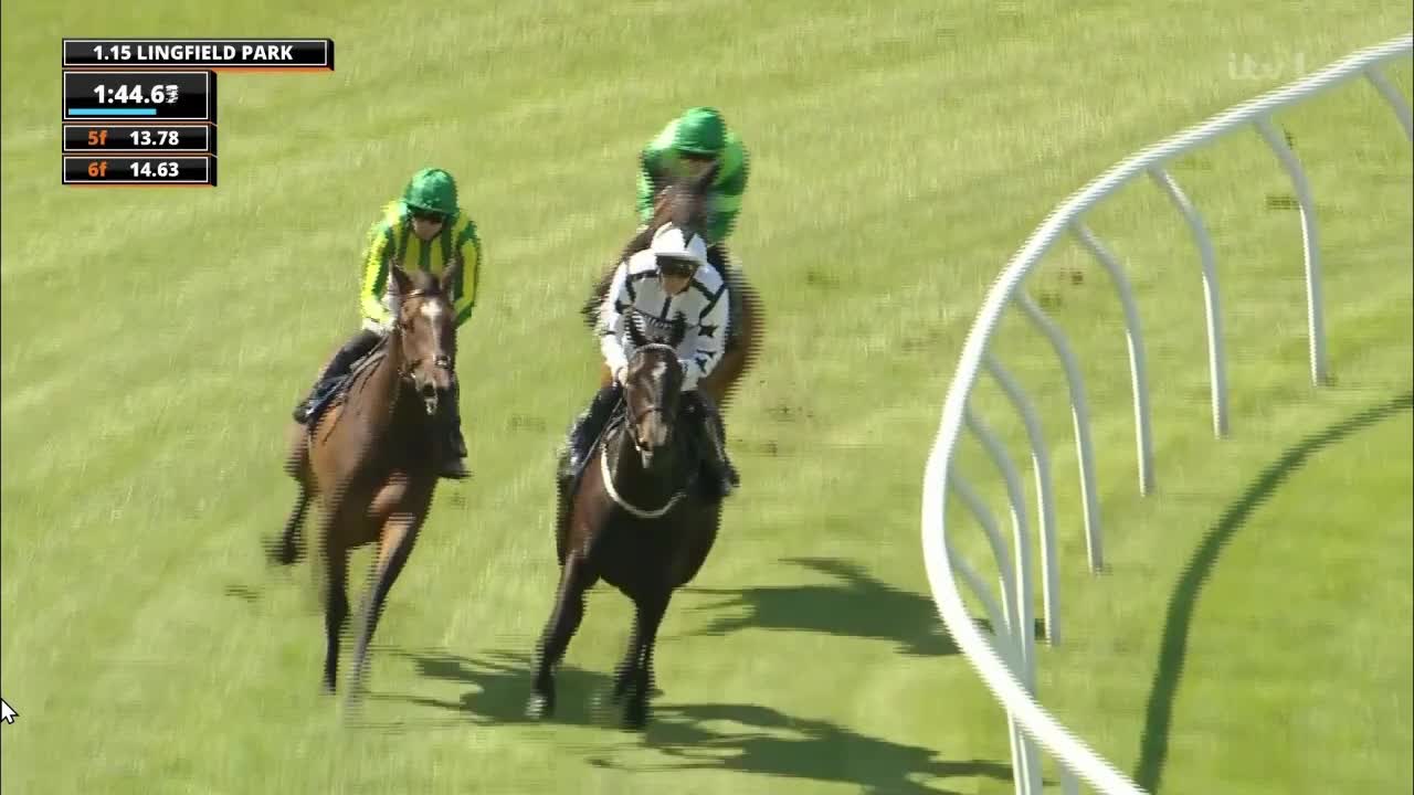 嶺飛打吡預賽 木偶尊主影相險勝