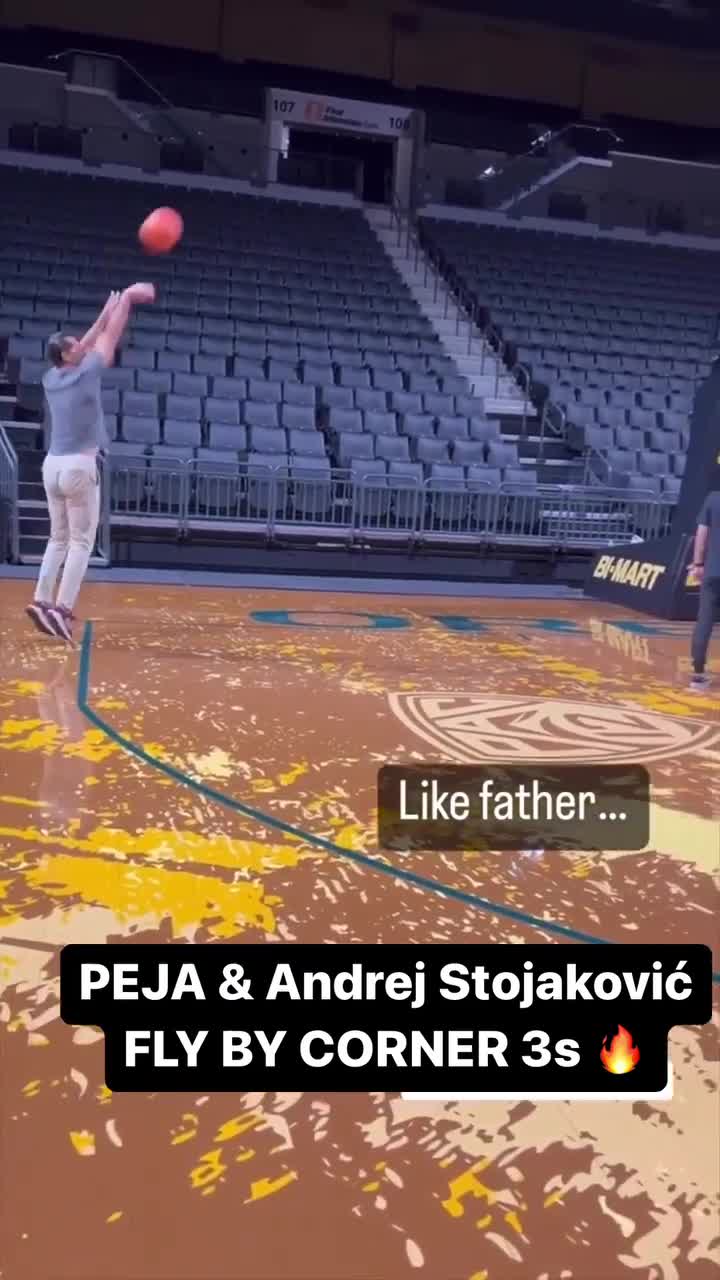 Retired NBA All-Star Peja Stojakovic's son, Andrej, commits to Stanford