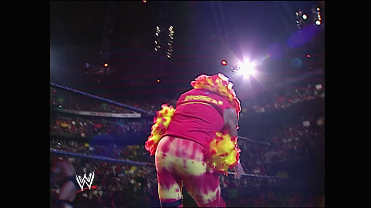 【激レア】WWE ザ・ロックvsハルク・ホーガンNO WAY OUT2003 激レア】WWE ザ・ロックvsハルク・ホーガンNO WAY OUT2003