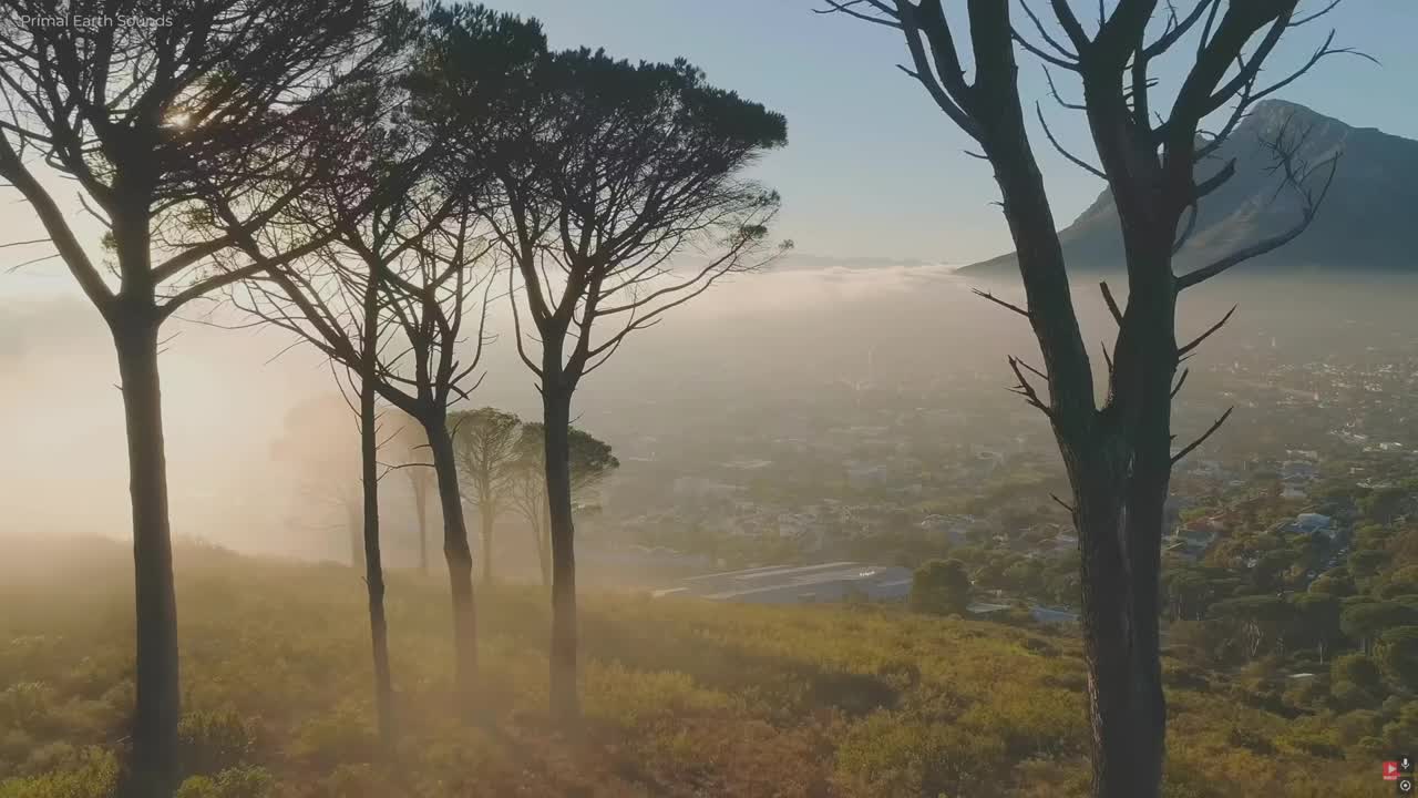 streamable.com