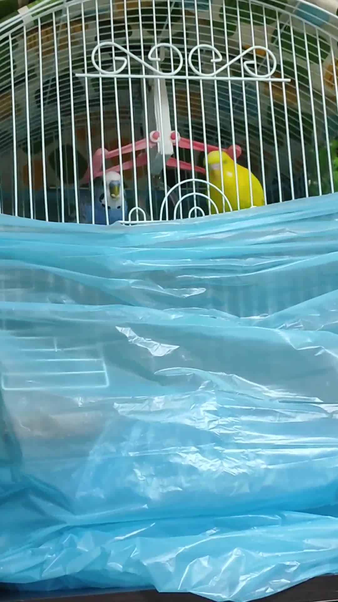 streamable.com