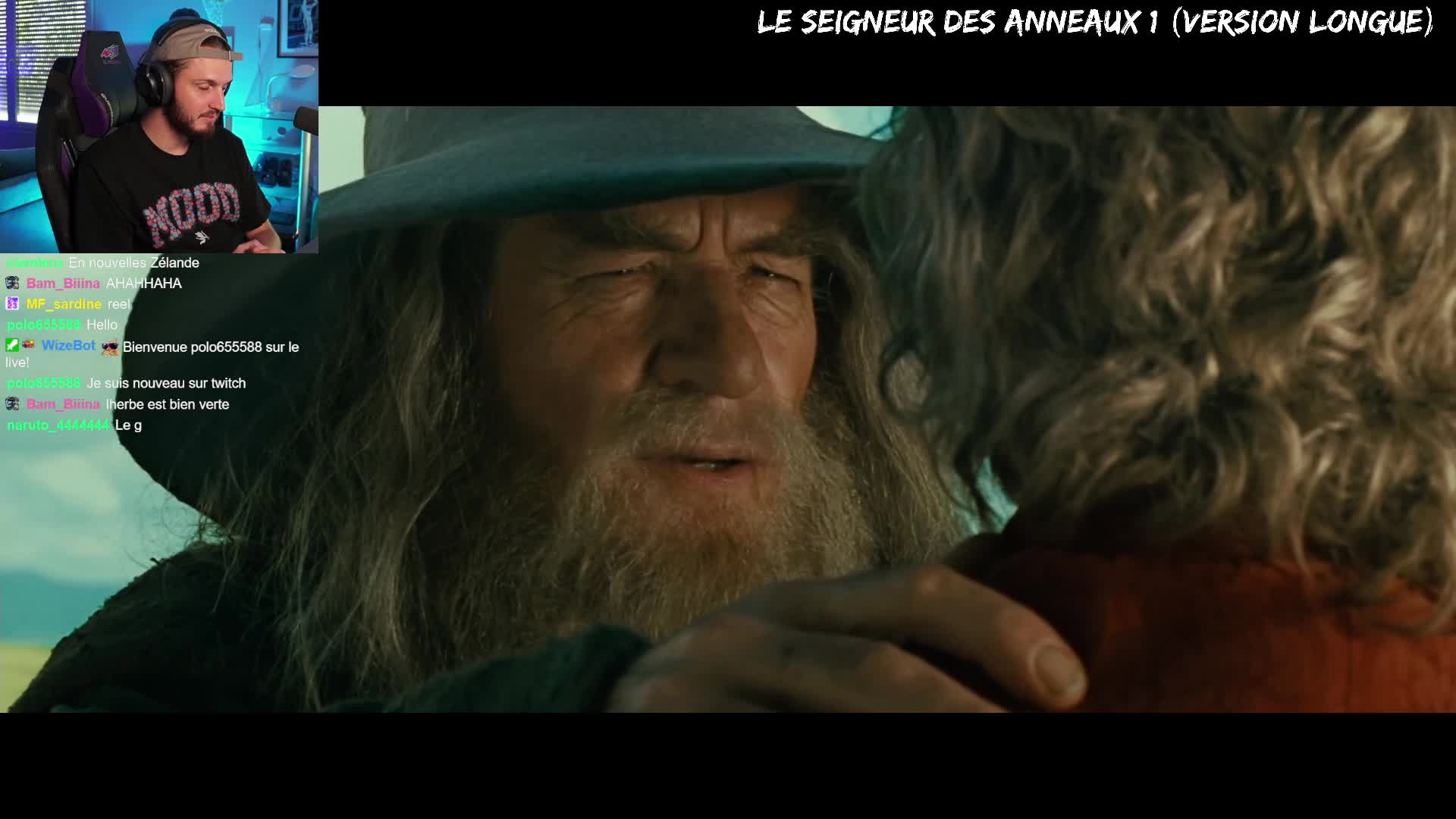 Watch SEIGNEUR DES ANNEAUX 1 : LA COMMUNAUTÉ DE L'ANNEAU | Streamable