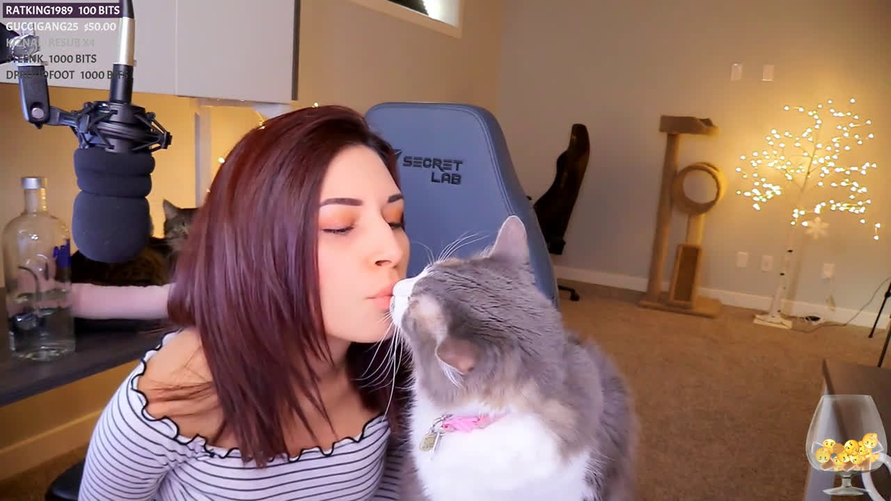 Alinity dick on stream