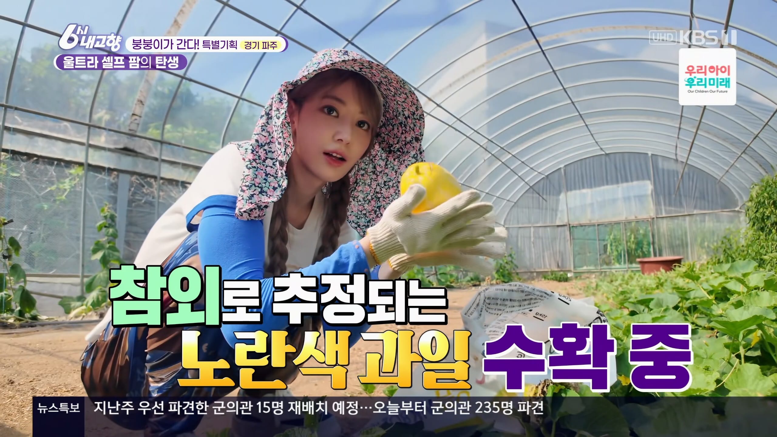 240909 KBS 6시 내고향 르세라핌 영상 - 르세라핌 마이너 갤러리