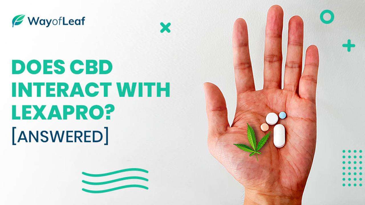 Does CBD Interact With Lexapro?