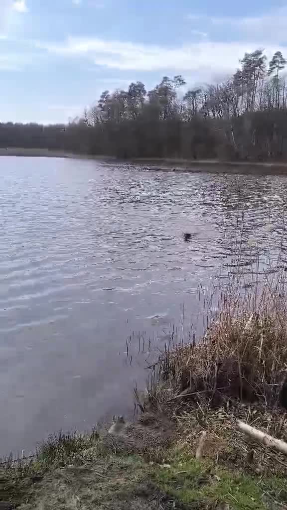 b106088f-ed8d-4217-a09f-5b459357b57a