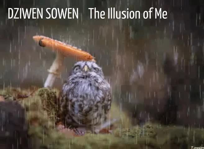 Watch "Dziwen Sowen - The Illusion of Me" on Streamable.