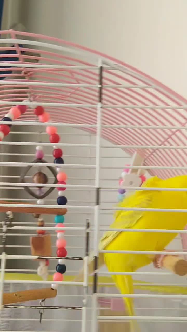 streamable.com