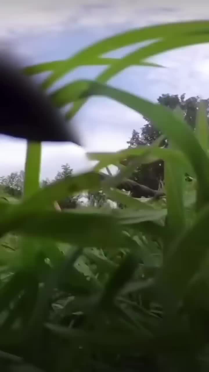 Watch "I don’t think they saw the wire" on Streamable.