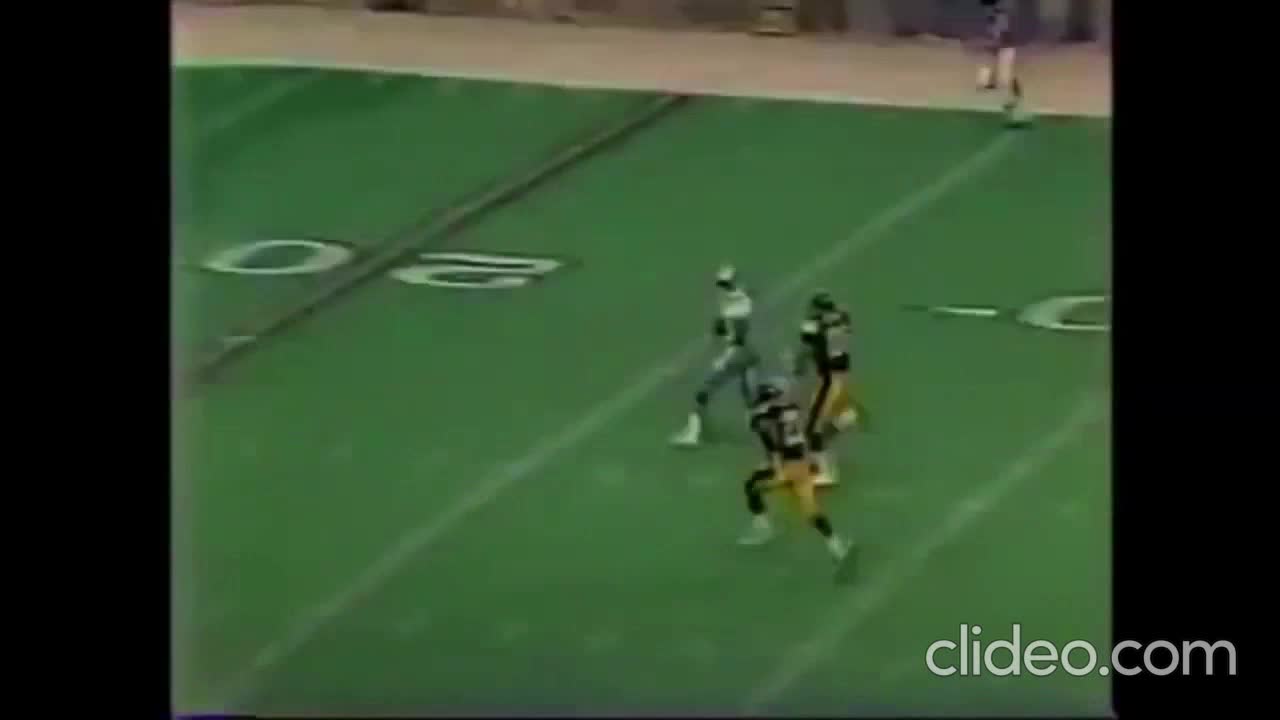 Michael Irvin's final play with Cowboys, in the NFL, happened this day