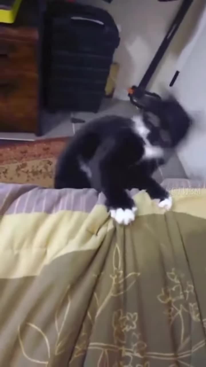 Watch 1729604087291352639 9c35de77 720x1280 Streamable