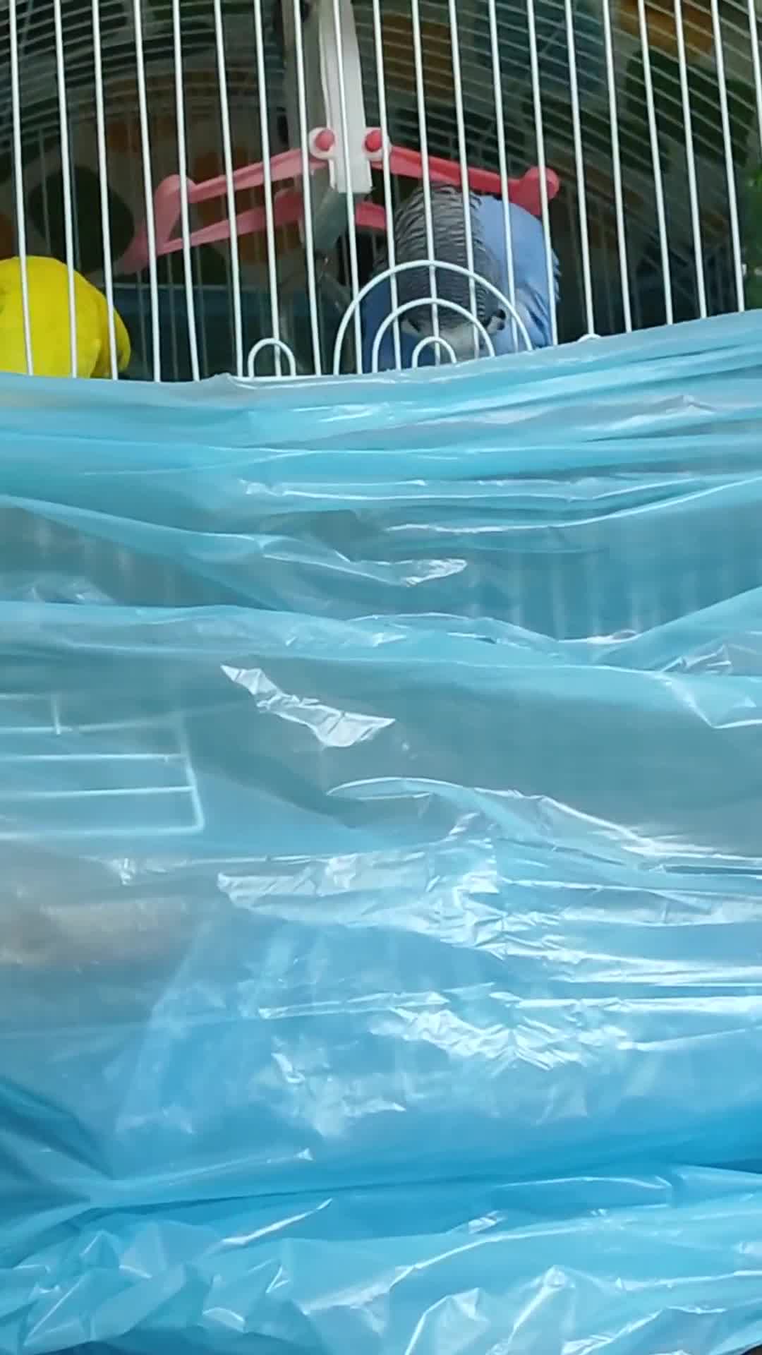 streamable.com