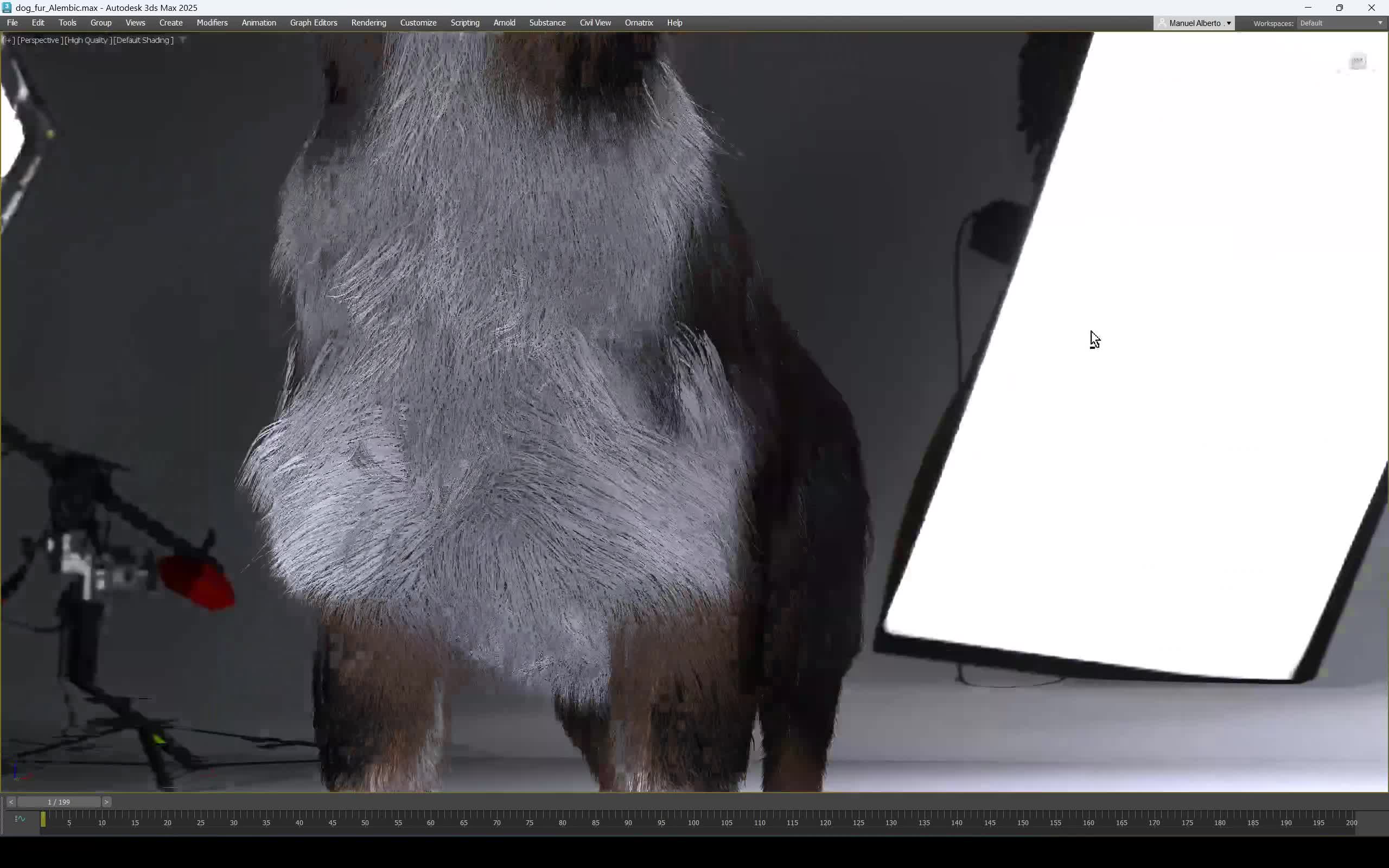 Watch Border Collie with Real Fur Alembic | Streamable