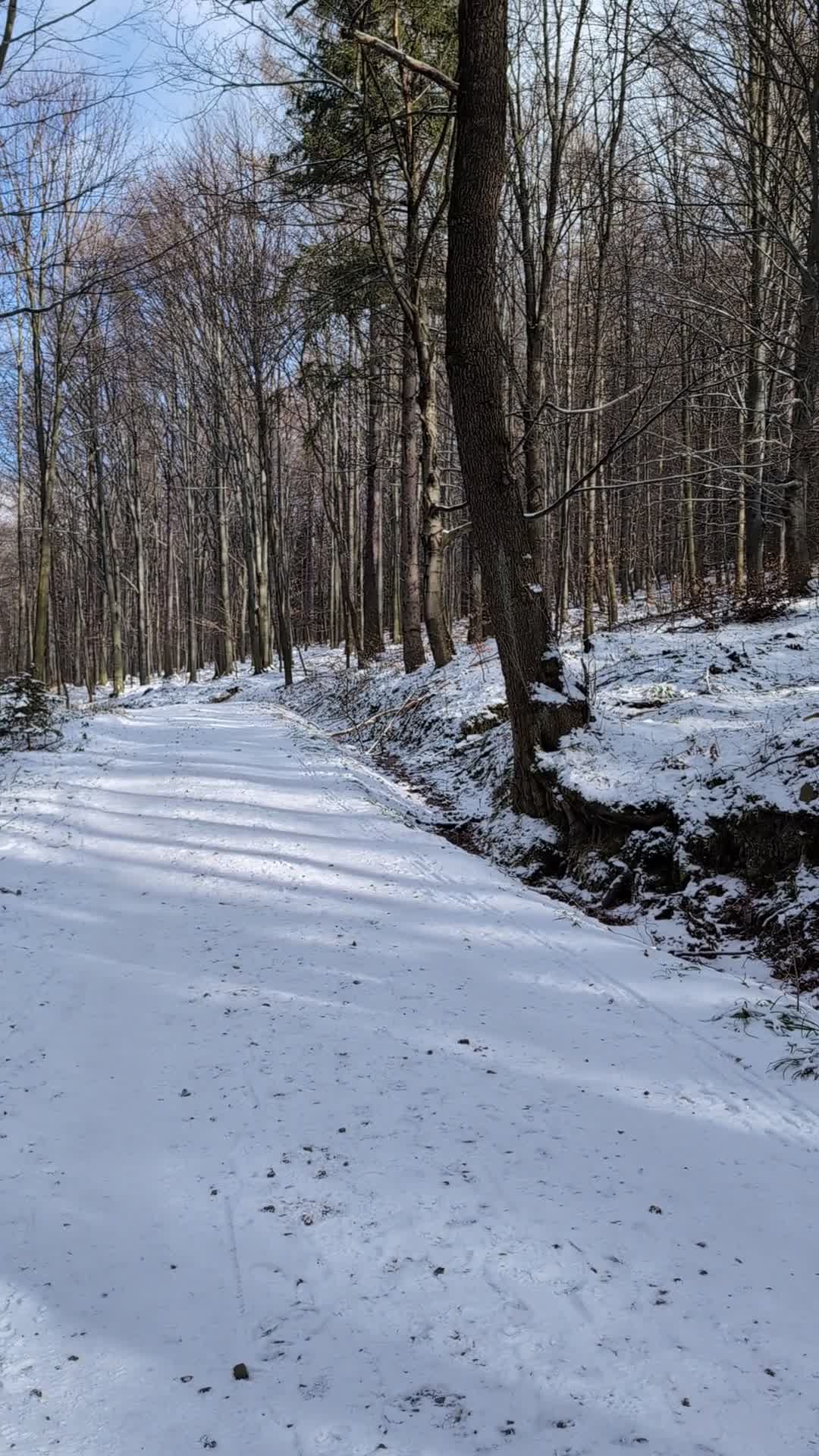 PXL_20250216_111220962