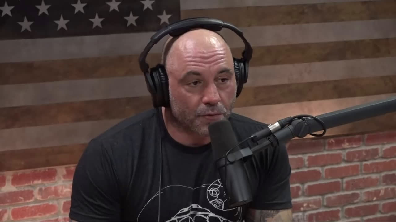 Joe 'deadliest man alive' Rogan