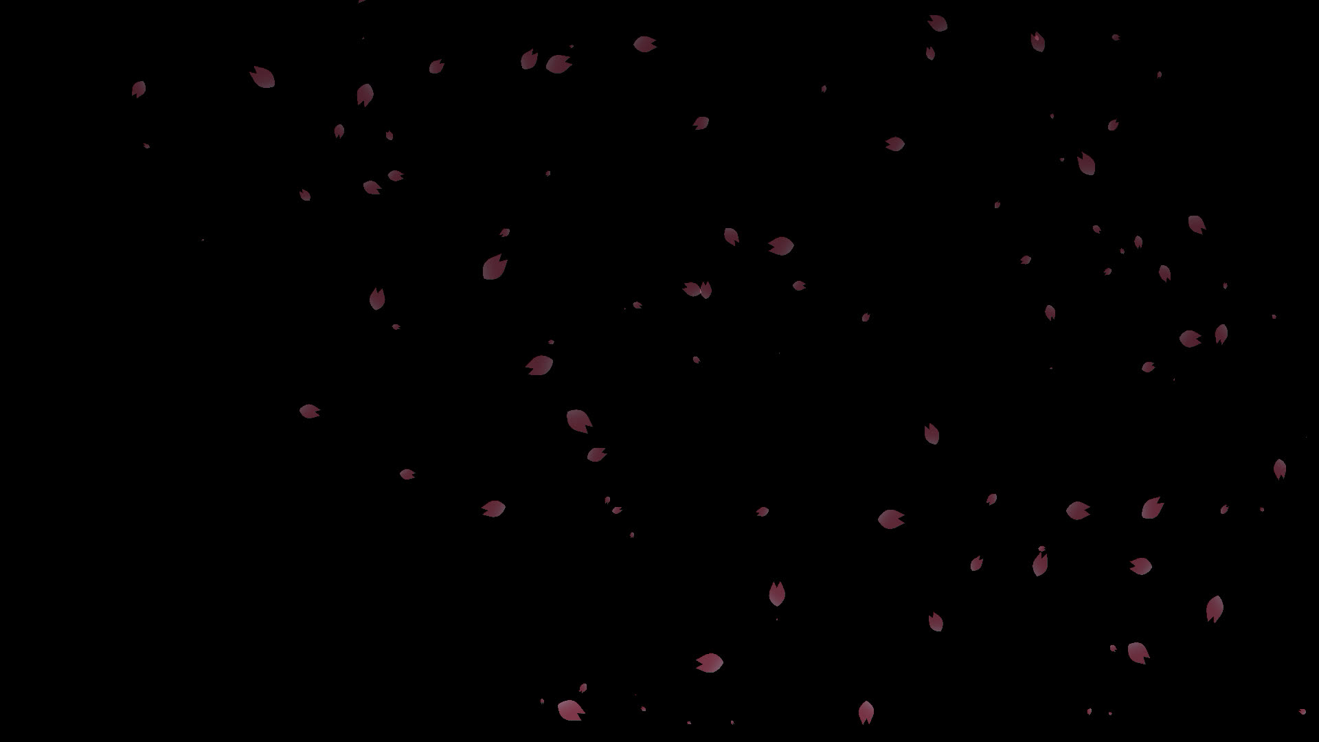 桜の花びらが舞い落ちる無料動画素材 映像制作向け D Elf 桜の花びらが舞い落ちる無料動画素材 映像制作向け D Elf