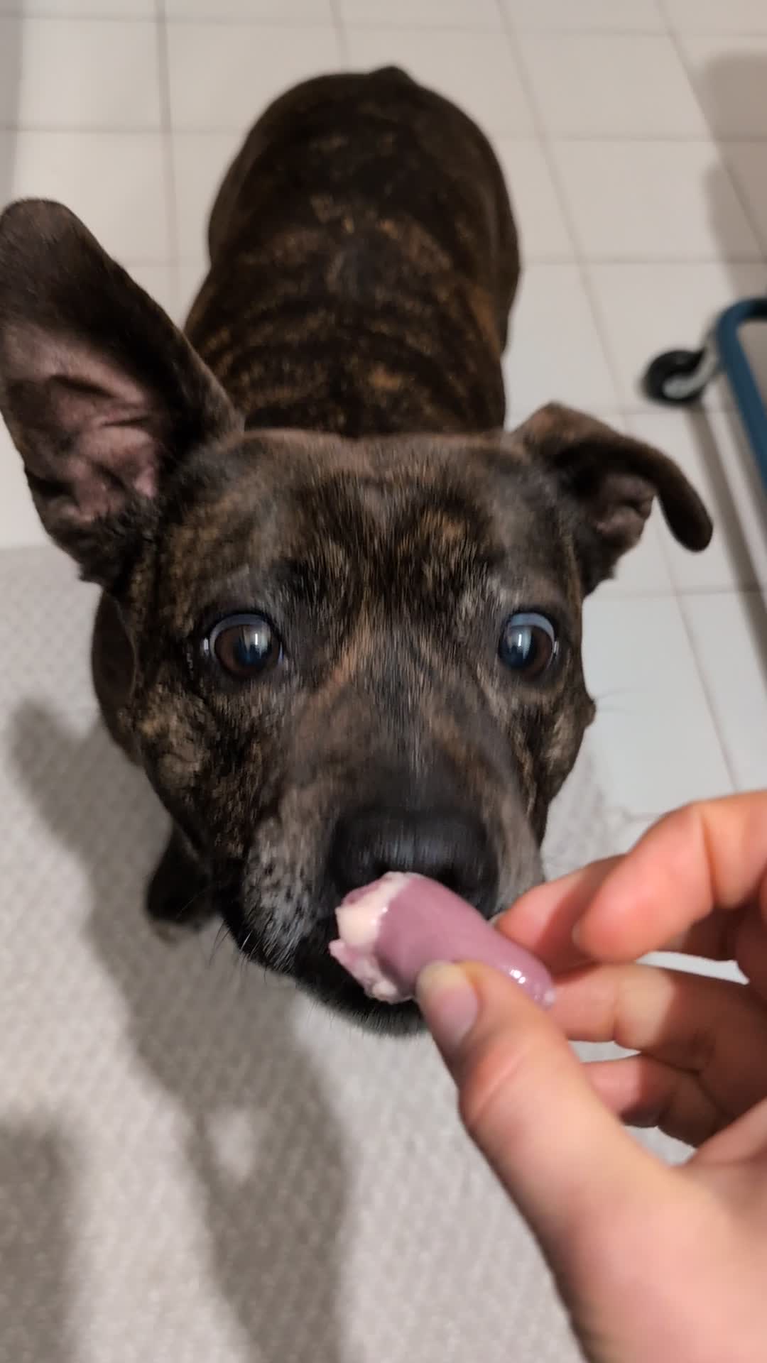 PXL_20250224_165505420