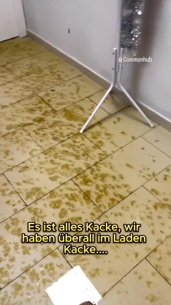 Es ist alles kacke!