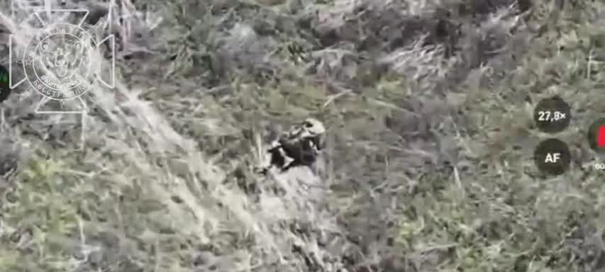 streamable.com
