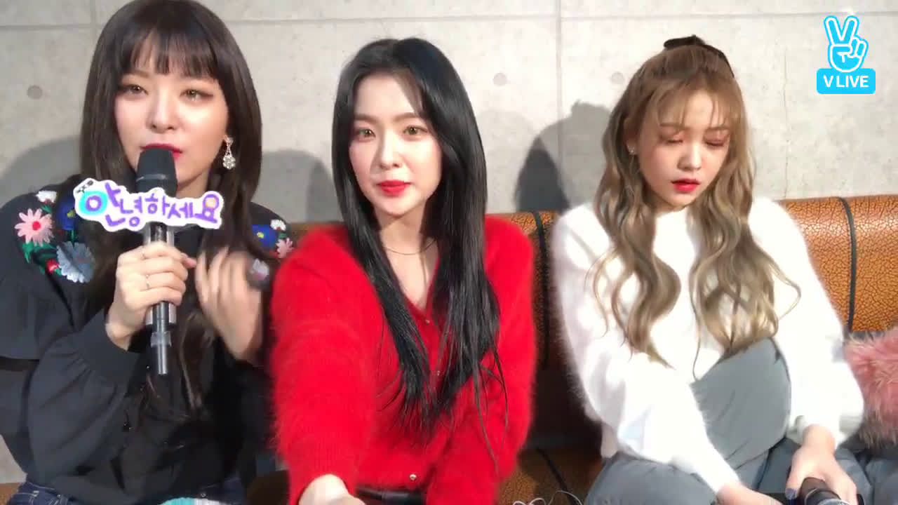 Red Velvet Seulgi And Irene