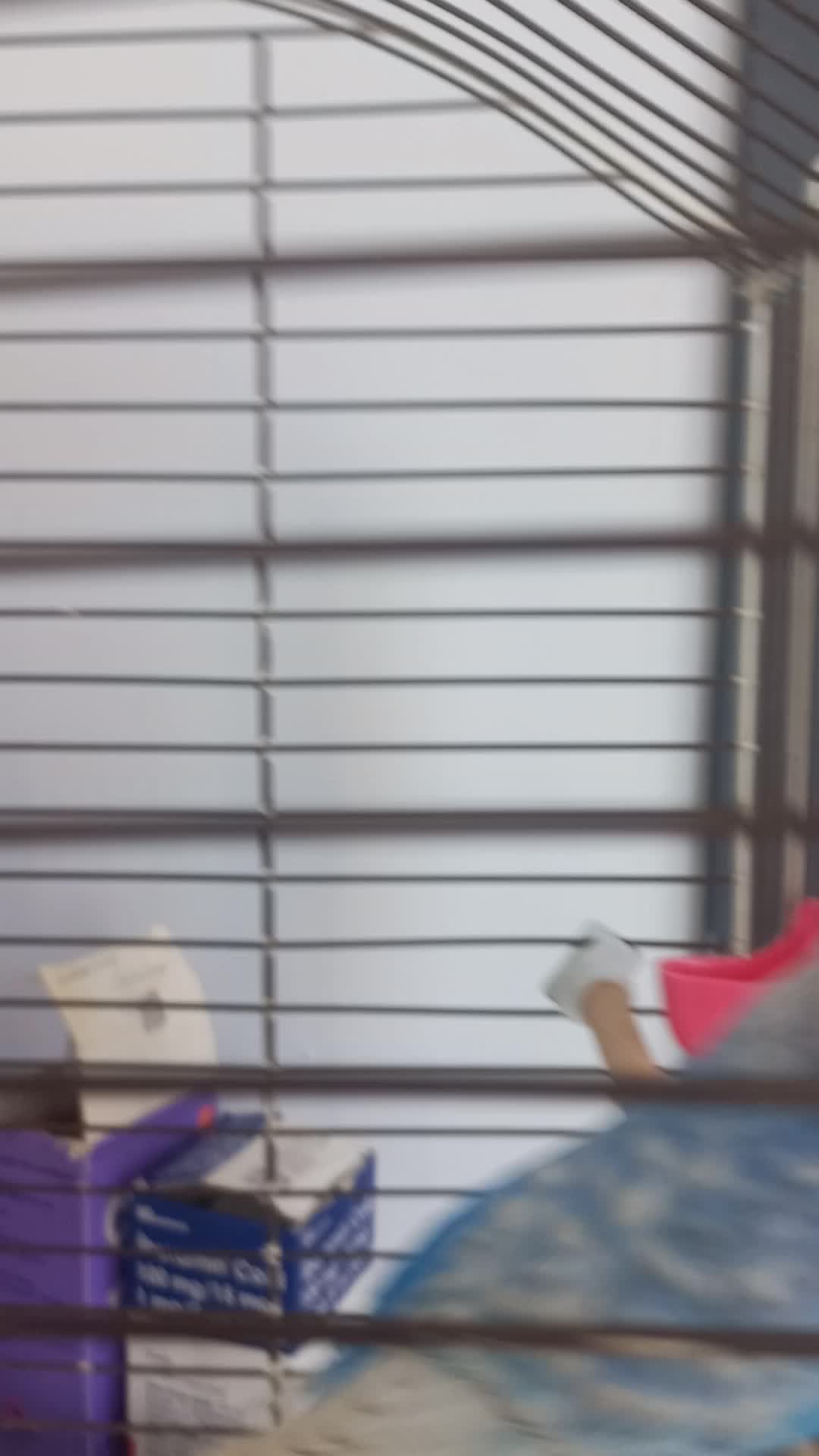 streamable.com