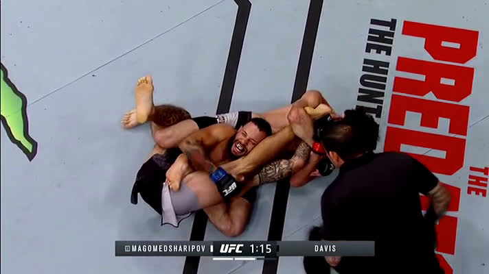 Watch Suloev Stretch rare submission occurs twice at ufc 228 | Streamable
