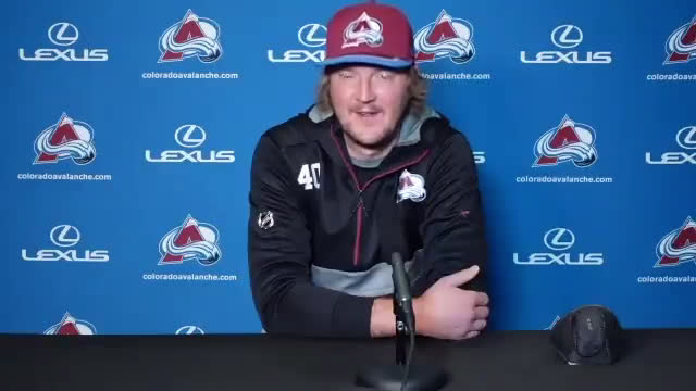 Avs Dubnyk chirps Landy