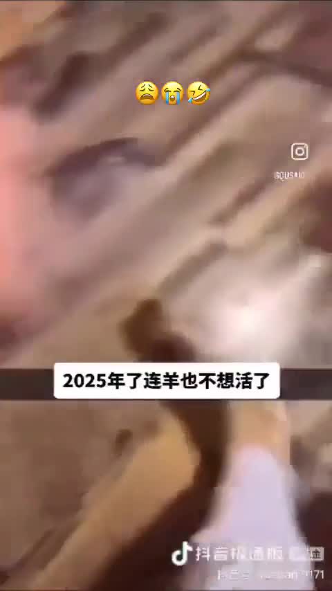 rapidsave.com_maybe_maybe_maybe-flx76t79y7be1