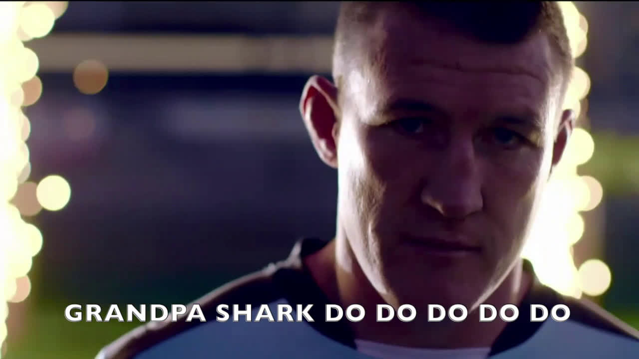Sharks Video