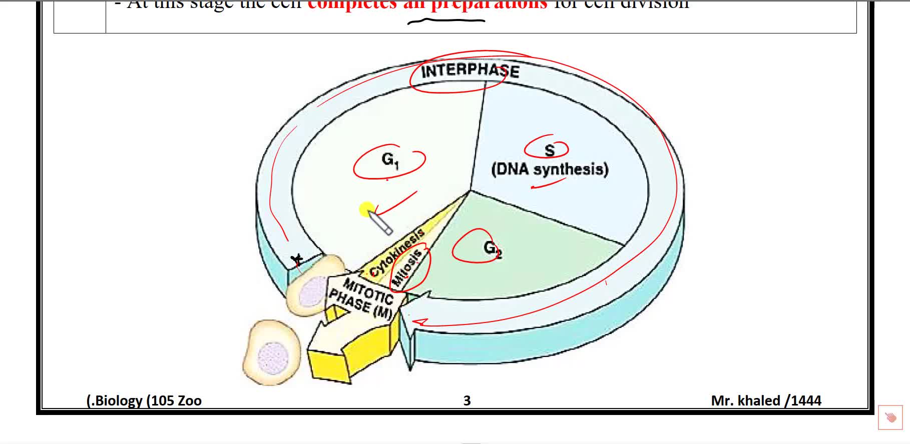 zoo -44- Lecture-9 cell cycle-cell division